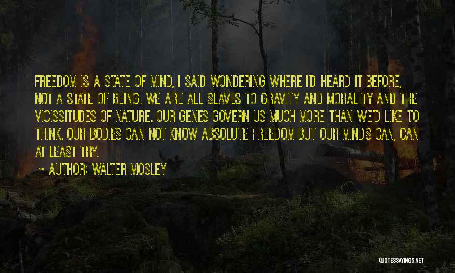 Freedom Of Slaves Quotes By Walter Mosley