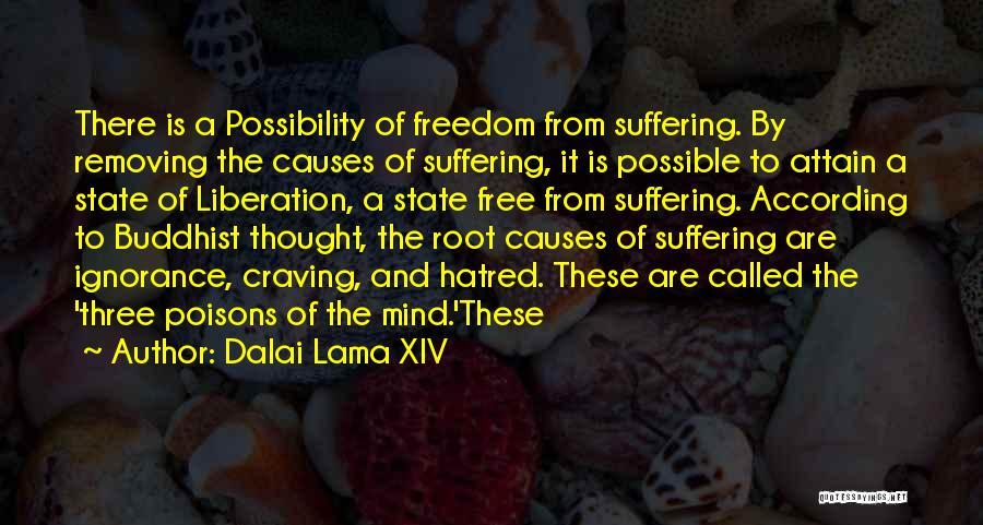 Freedom State Of Mind Quotes By Dalai Lama XIV