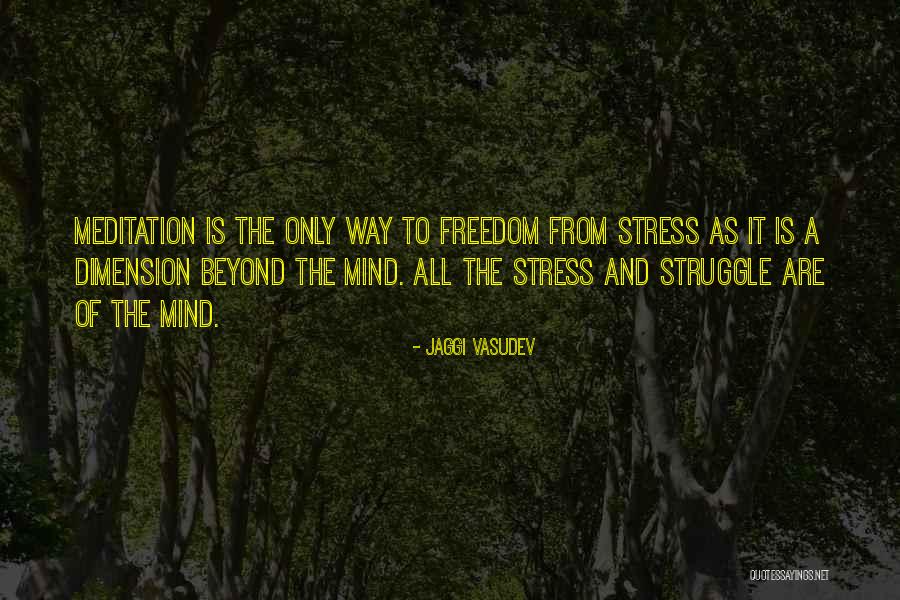 Freedom Struggle Quotes By Jaggi Vasudev