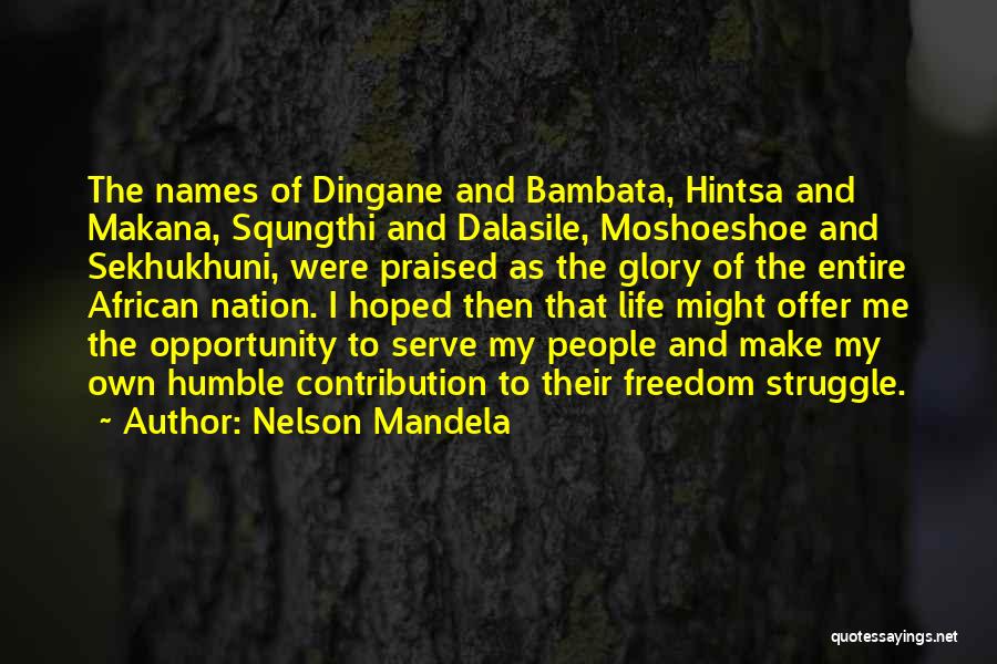 Freedom Struggle Quotes By Nelson Mandela