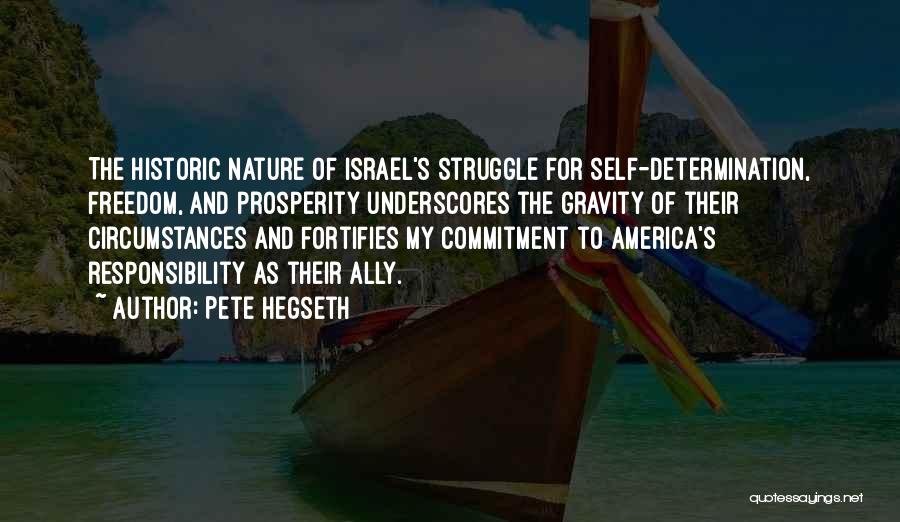 Freedom Struggle Quotes By Pete Hegseth