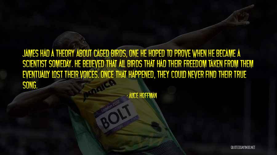 Freedom Theory Quotes By Alice Hoffman Freedom Theory Quotes By Alice Hoffman