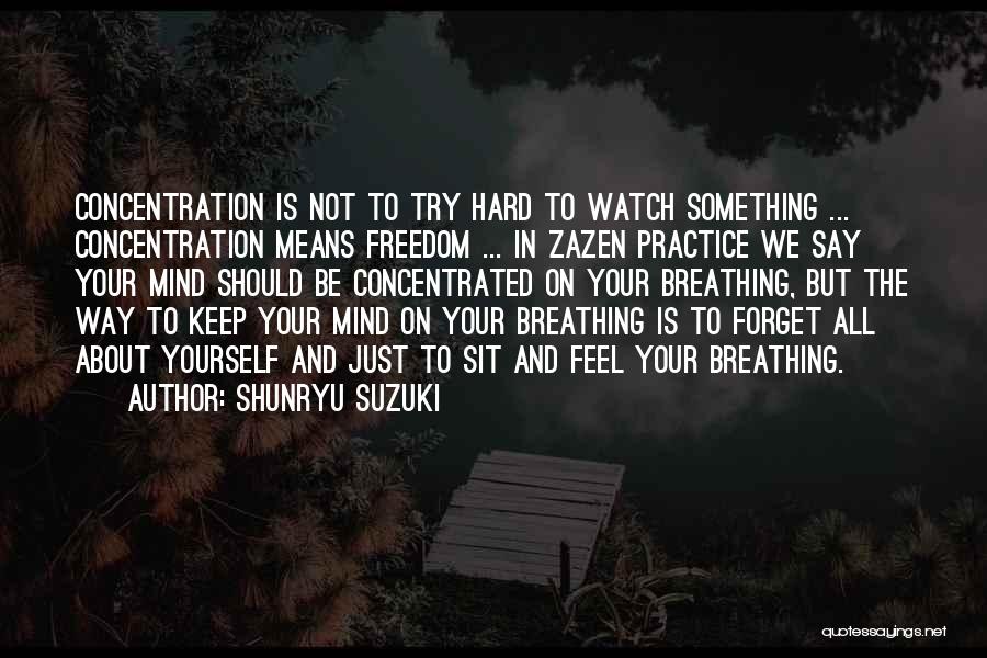 Freedom To Be Yourself Quotes By Shunryu Suzuki
