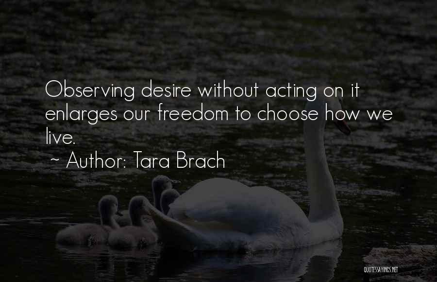 Freedom To Live Quotes By Tara Brach