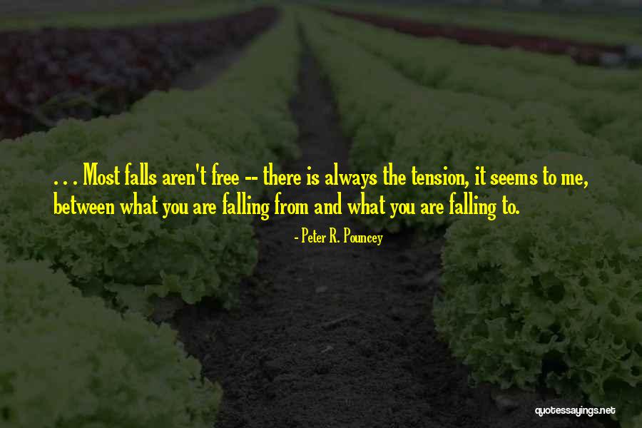 Freefall Quotes By Peter R. Pouncey Freefall Quotes By Peter R. Pouncey