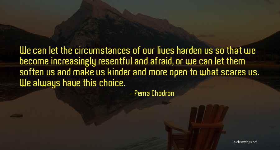 Freeganism Quotes By Pema Chodron Freeganism Quotes By Pema Chodron