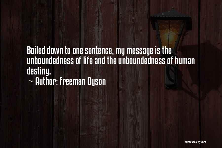 Freeman Dyson Quotes 369072