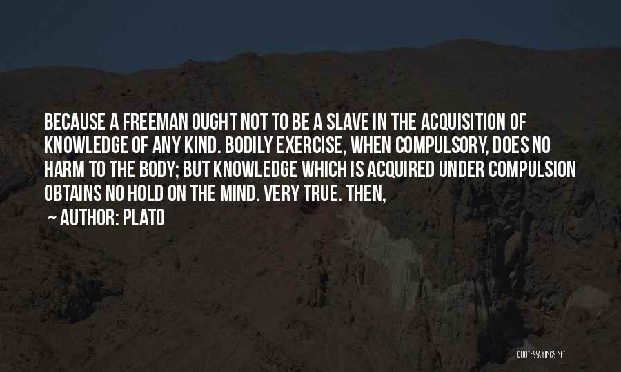 Freeman Mind Quotes By Plato