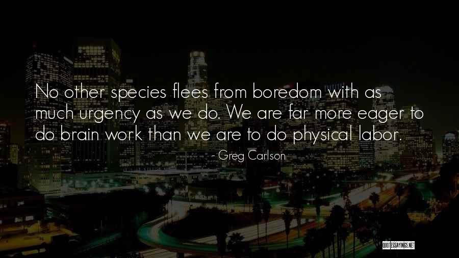 Freemason Latin Quotes By Greg Carlson Freemason Latin Quotes By Greg Carlson