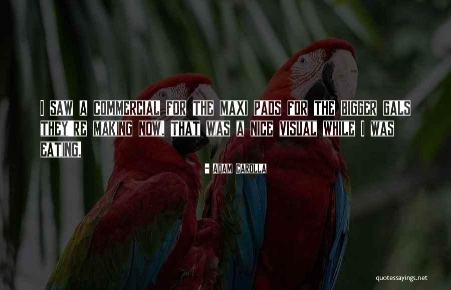Freeness Of Speech Quotes By Adam Carolla Freeness Of Speech Quotes By Adam Carolla