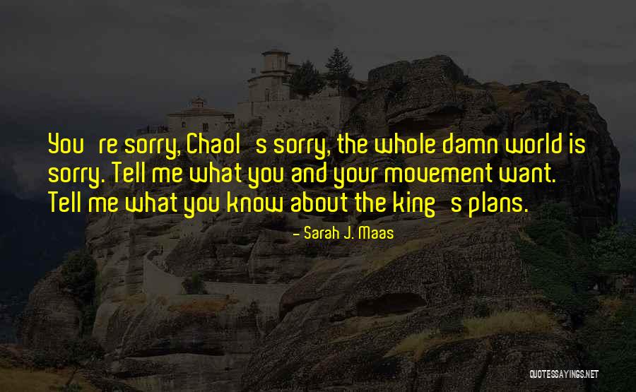 Freerunning Quotes By Sarah J. Maas Freerunning Quotes By Sarah J. Maas