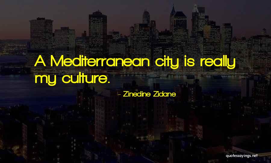 Freerunning Quotes By Zinedine Zidane Freerunning Quotes By Zinedine Zidane