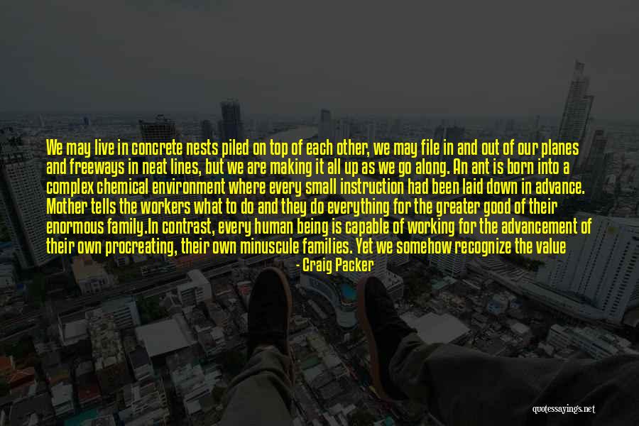 Freeways Quotes By Craig Packer