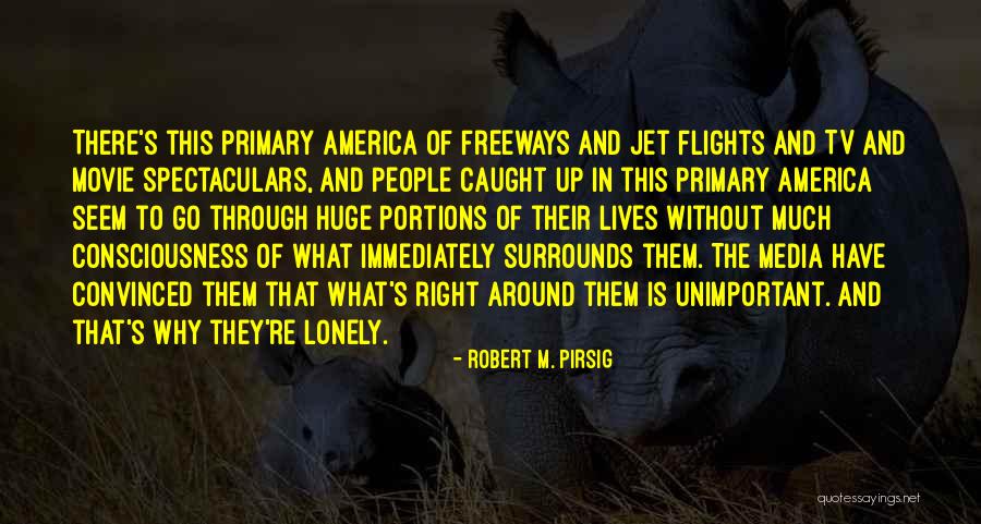 Freeways Quotes By Robert M. Pirsig