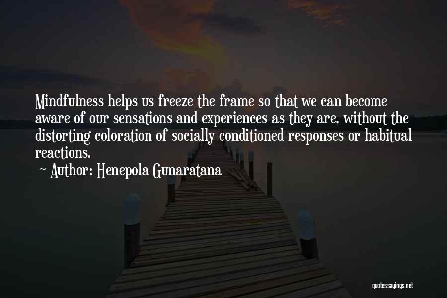 Freeze Frame Quotes By Henepola Gunaratana