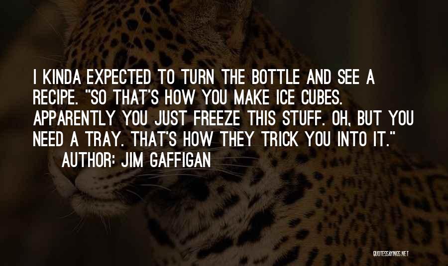 Freeze Quotes By Jim Gaffigan