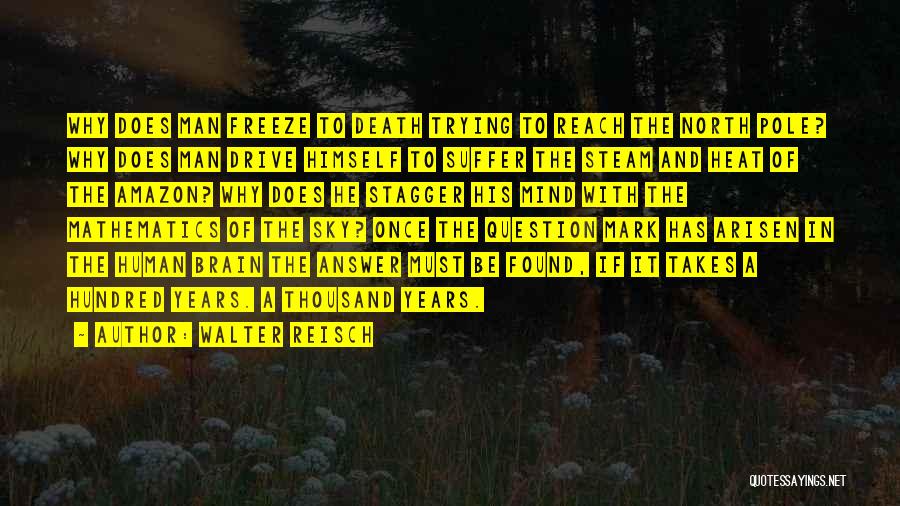 Freeze Quotes By Walter Reisch