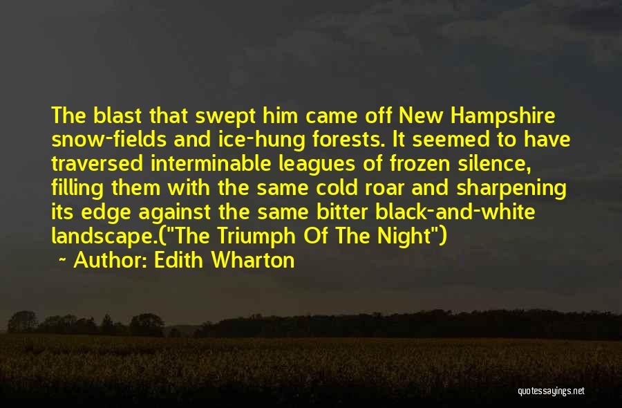 Freezing Cold Night Quotes By Edith Wharton