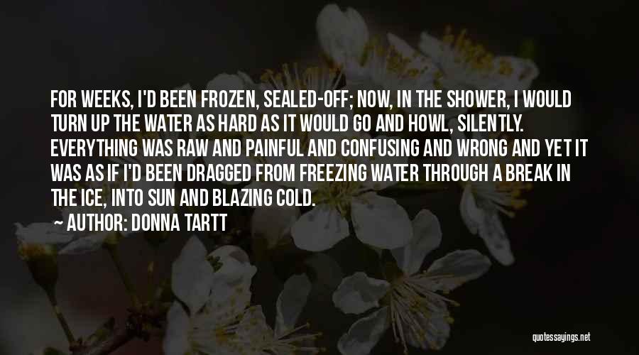 Freezing Cold Outside Quotes By Donna Tartt