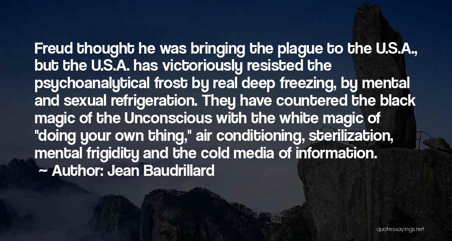 Freezing Cold Outside Quotes By Jean Baudrillard