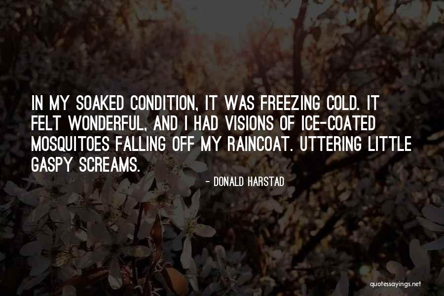 Freezing Cold Quotes By Donald Harstad