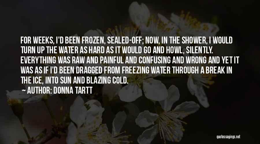 Freezing Cold Quotes By Donna Tartt