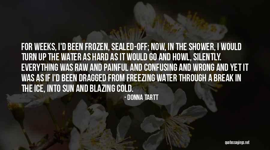 Freezing Cold Quotes By Donna Tartt