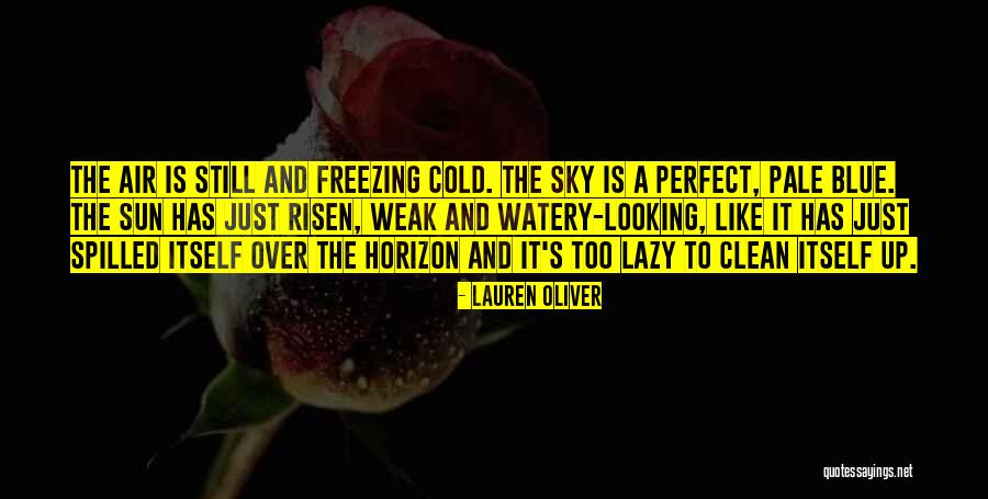 Freezing Cold Quotes By Lauren Oliver