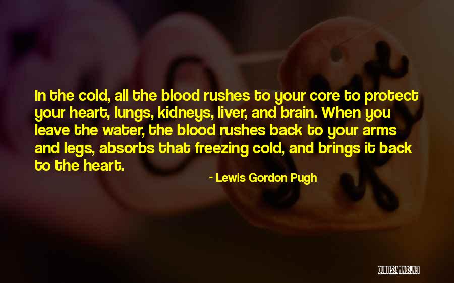 Freezing Cold Quotes By Lewis Gordon Pugh