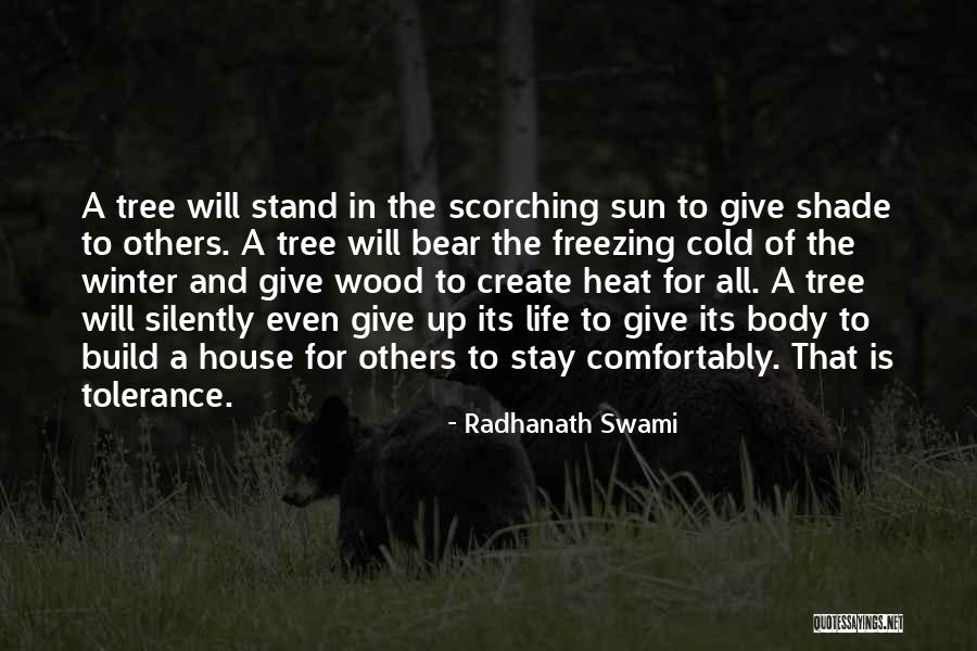 Freezing Cold Quotes By Radhanath Swami