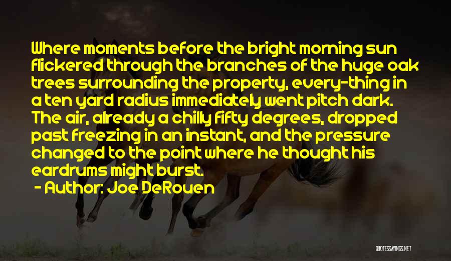 Freezing Moments Quotes By Joe DeRouen