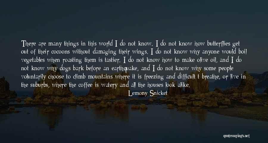 Freezing Quotes By Lemony Snicket Freezing Quotes By Lemony Snicket