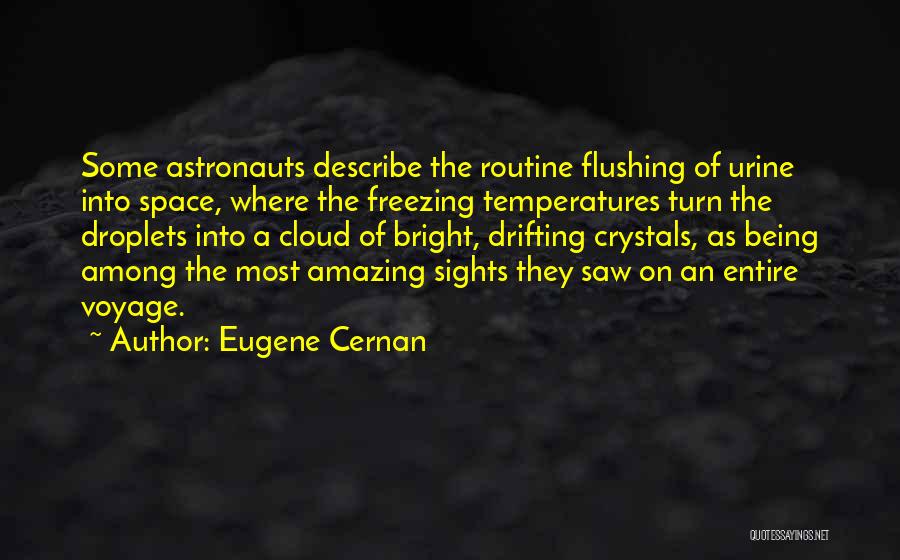 Freezing Temperatures Quotes By Eugene Cernan