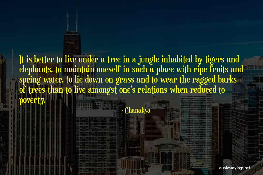 Freiburger Kantonalbank Quotes By Chanakya Freiburger Kantonalbank Quotes By Chanakya