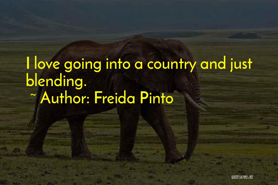 Freida Pinto Quotes 870711