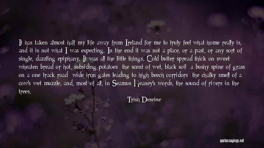 Frelinghuysen Nj Quotes By Trish Deseine Frelinghuysen Nj Quotes By Trish Deseine