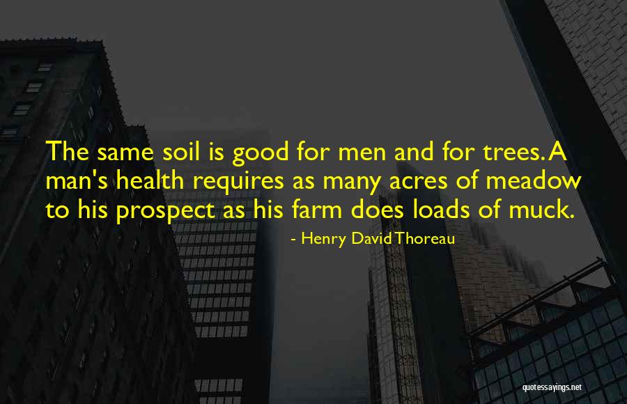 Fremito Definicion Quotes By Henry David Thoreau Fremito Definicion Quotes By Henry David Thoreau