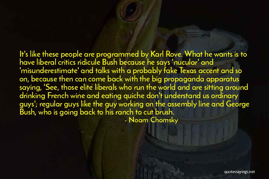 French Accent Quotes By Noam Chomsky French Accent Quotes By Noam Chomsky