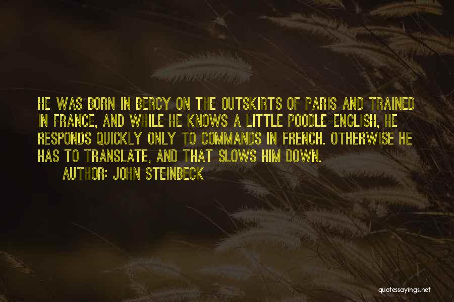 French Dog Quotes By John Steinbeck