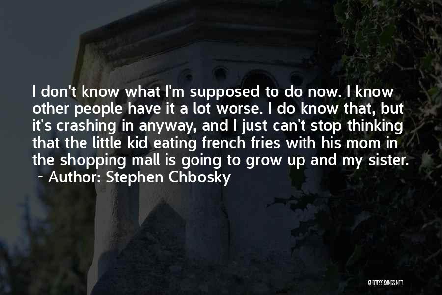 French Fries Quotes By Stephen Chbosky