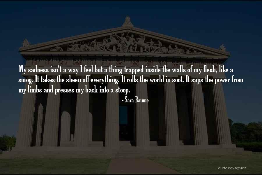 French Rev Quotes By Sara Baume French Rev Quotes By Sara Baume