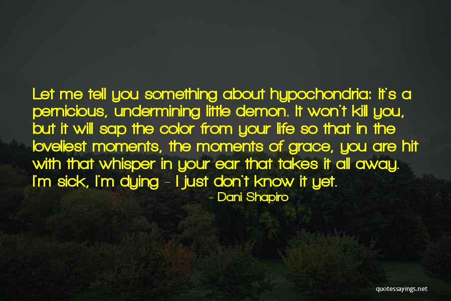 Frenemy Roblox Quotes By Dani Shapiro Frenemy Roblox Quotes By Dani Shapiro