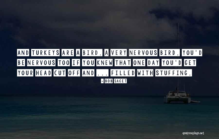 Frentzen Financial Solutions Quotes By Bob Saget Frentzen Financial Solutions Quotes By Bob Saget