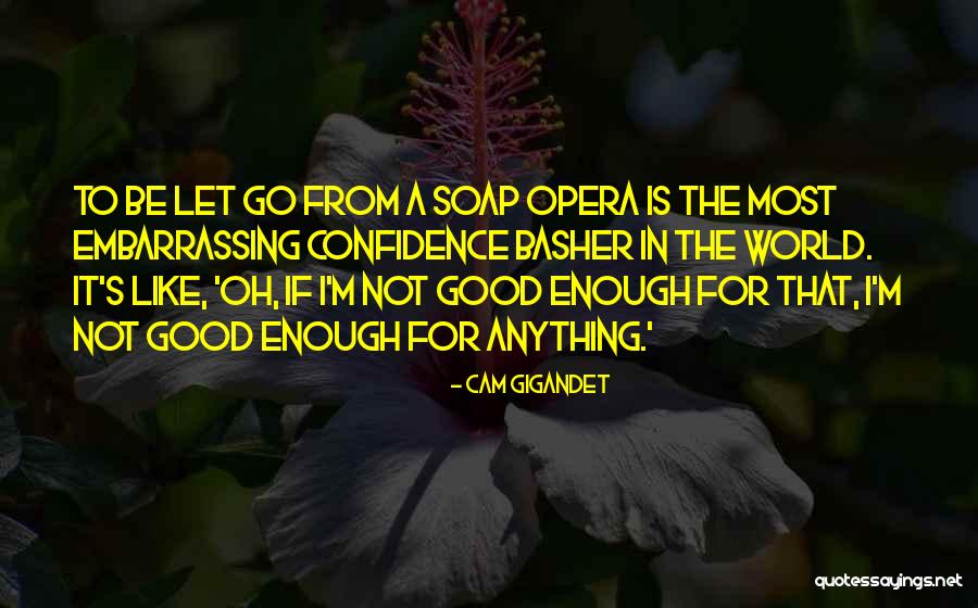 Frenzied Synonyms Quotes By Cam Gigandet Frenzied Synonyms Quotes By Cam Gigandet