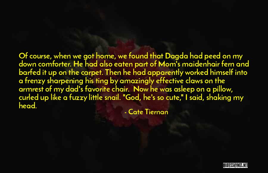 Frenzy Quotes By Cate Tiernan Frenzy Quotes By Cate Tiernan