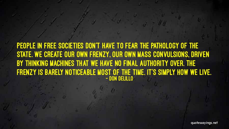 Frenzy Quotes By Don DeLillo