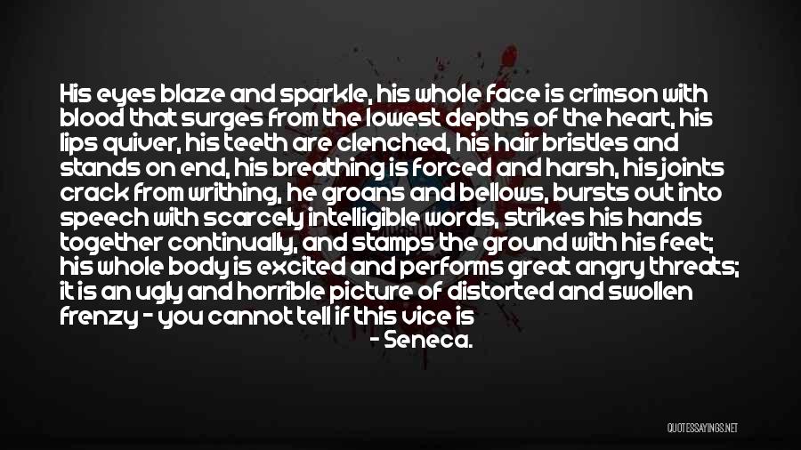 Frenzy Quotes By Seneca.