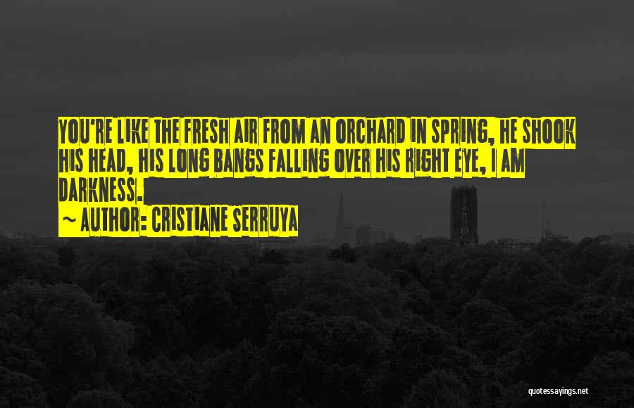 Fresh Air Quotes By Cristiane Serruya