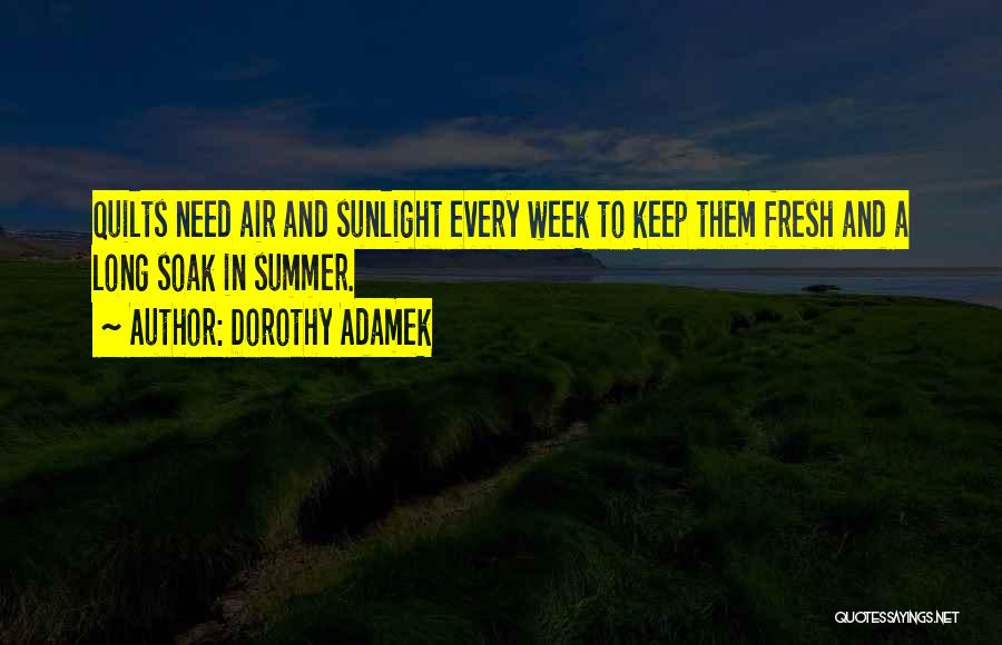 Fresh Air Quotes By Dorothy Adamek
