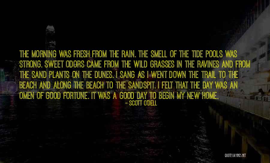 Fresh Good Morning Quotes By Scott O'Dell Fresh Good Morning Quotes By Scott O'Dell